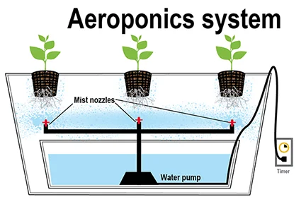 Aeroponics Hydroponics systems